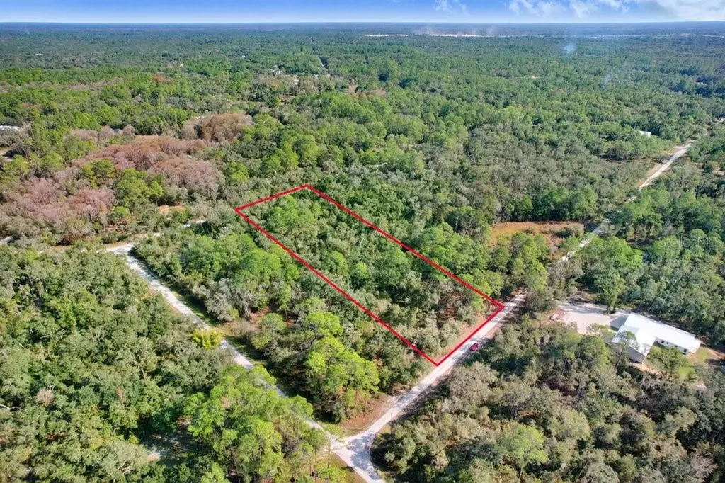 7292 Sonia Avenue Webster FL 33597