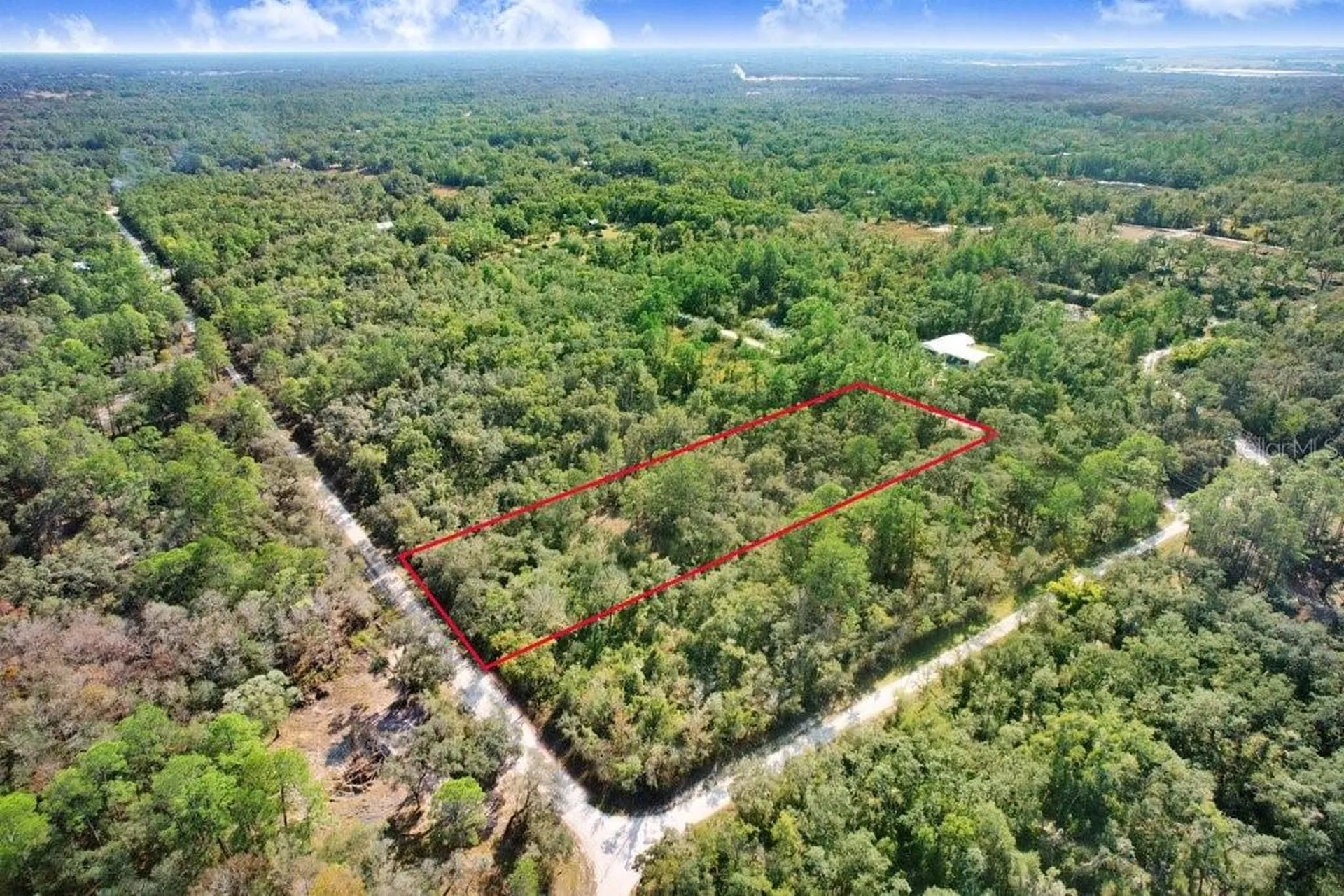 7292 Sonia Avenue Webster FL 33597