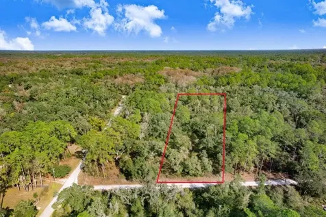 7292 Sonia Avenue Webster FL 33597