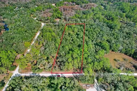 7292 Sonia Avenue Webster FL 33597