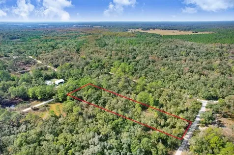 7292 Sonia Avenue Webster FL 33597