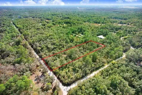 7292 Sonia Avenue Webster FL 33597
