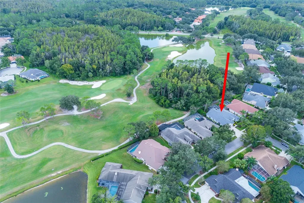 17521 Edinburgh Drive Tampa FL 33647