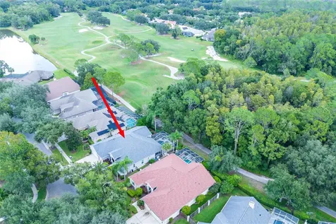17521 Edinburgh Drive Tampa FL 33647
