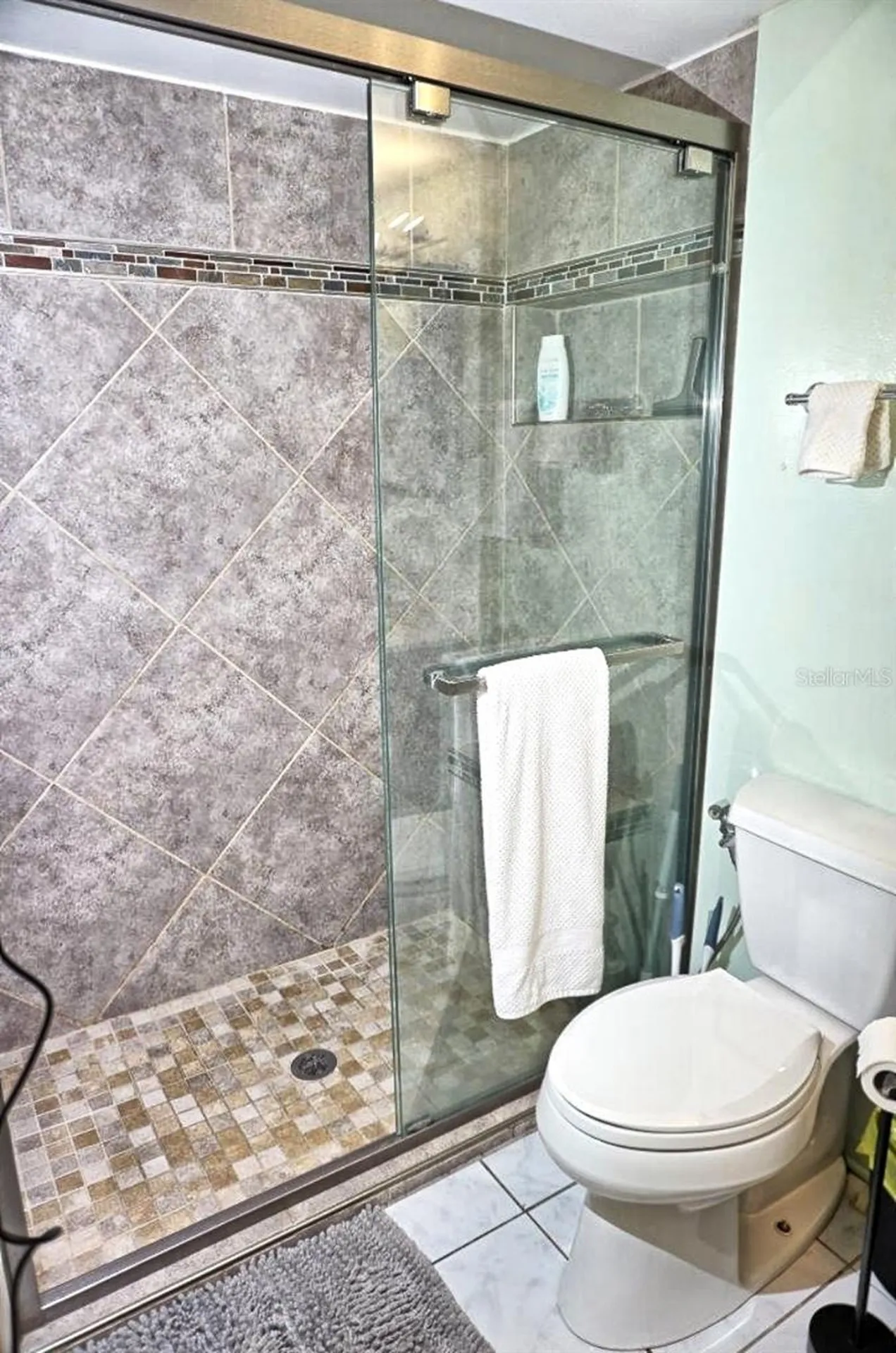 20921 Haulover Cove Lutz FL 33558