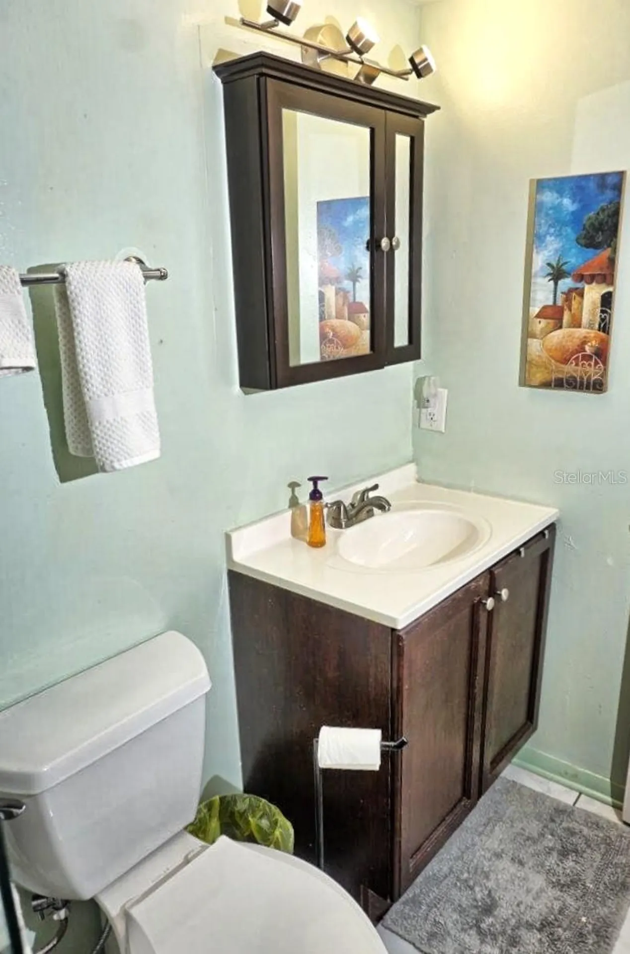 20921 Haulover Cove Lutz FL 33558