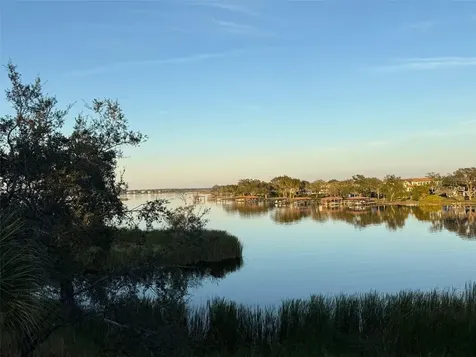 16771 Turtle Hatch Drive Winter Garden FL 34787