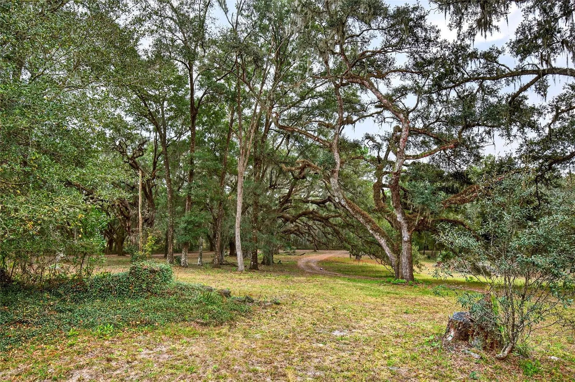 11795 SW Highway 484 Dunnellon FL 34432