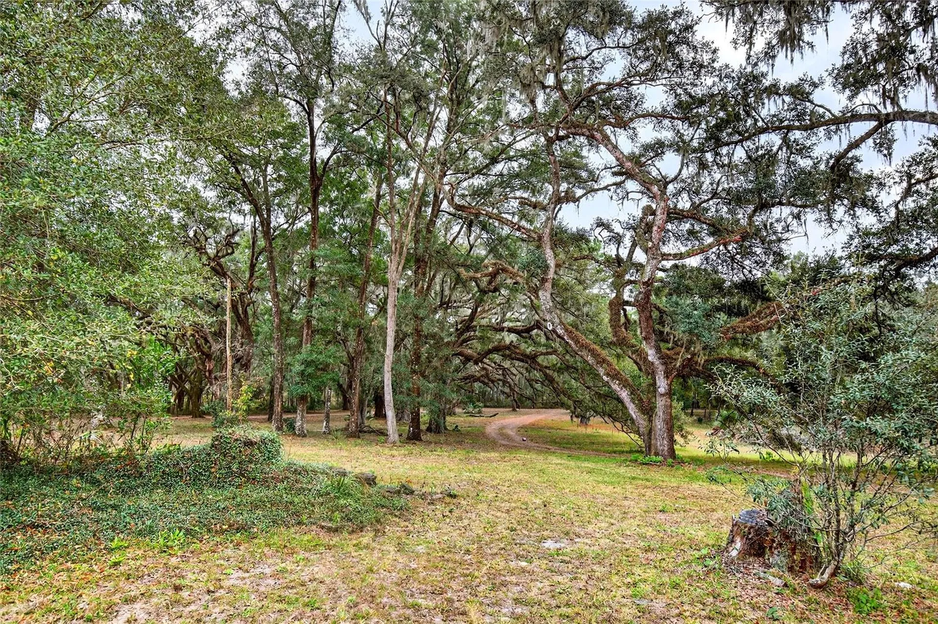 11795 SW Highway 484 Dunnellon FL 34432