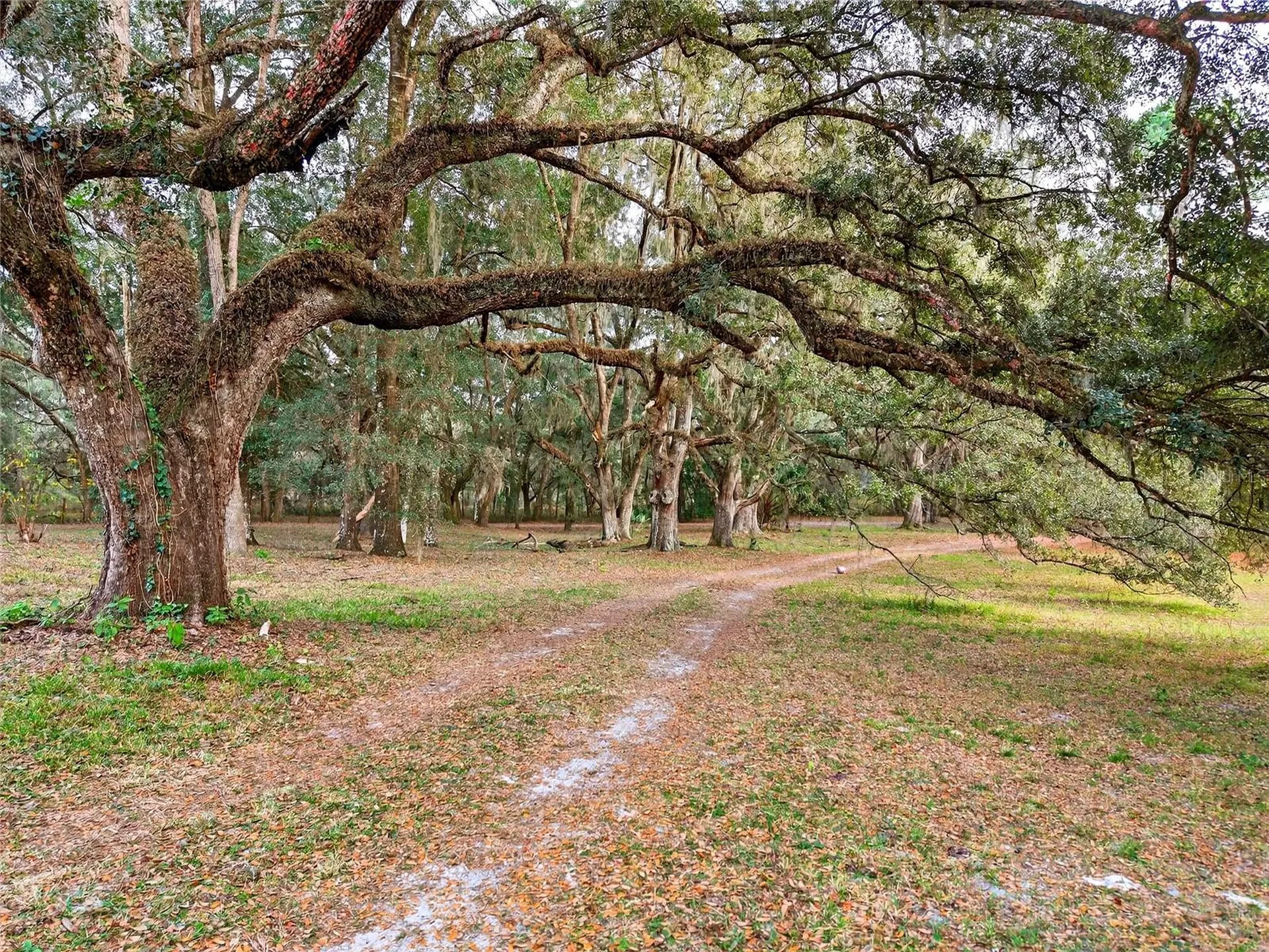 11795 SW Highway 484 Dunnellon FL 34432