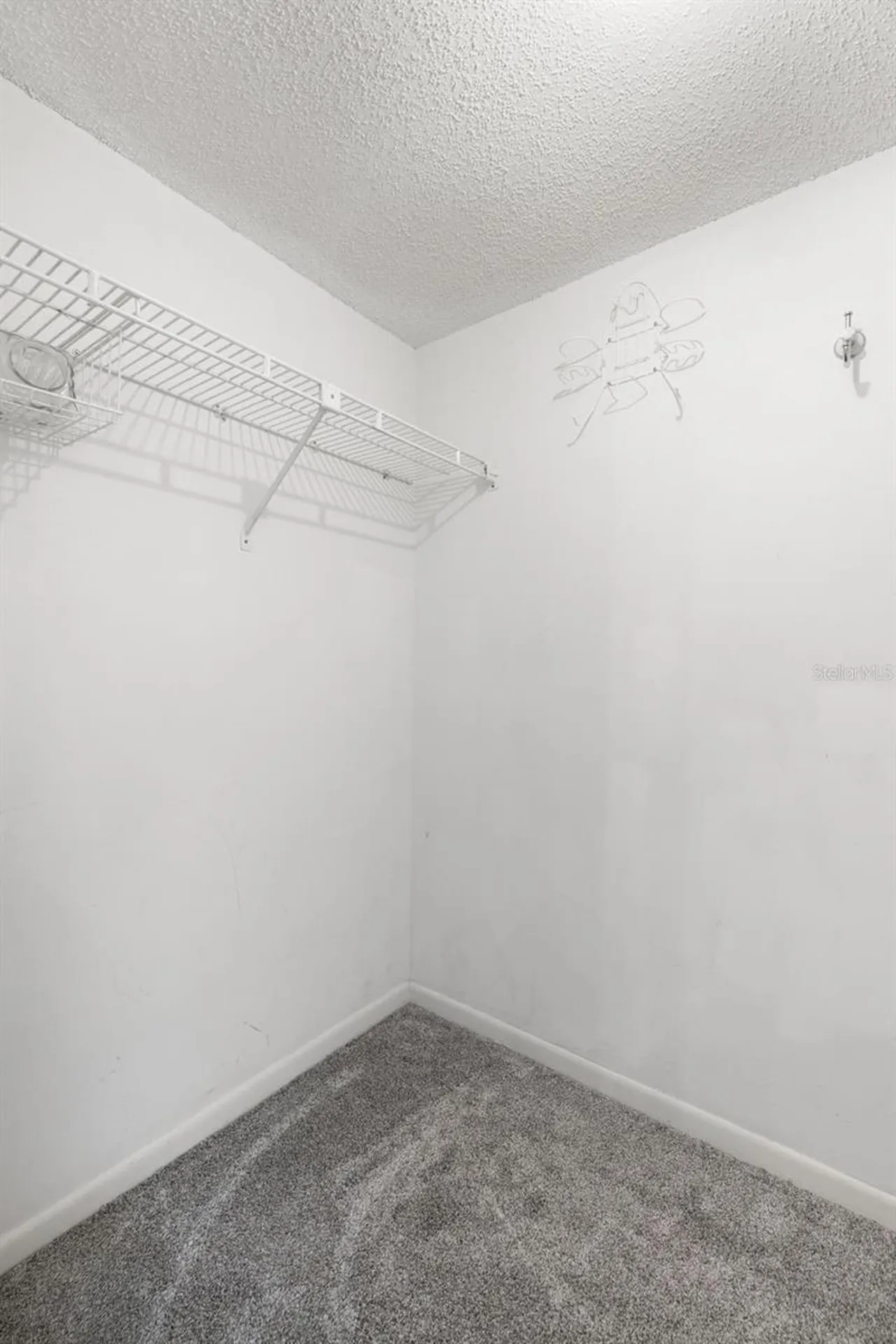 6279 Sun Boulevard St Petersburg FL 33715