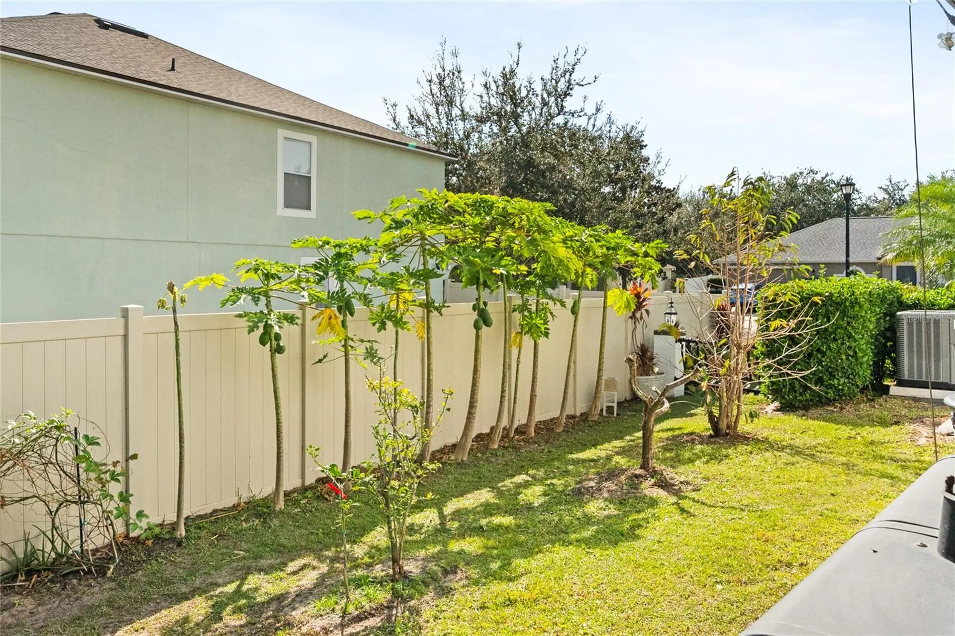 31834 Parkdale Leesburg FL 34748