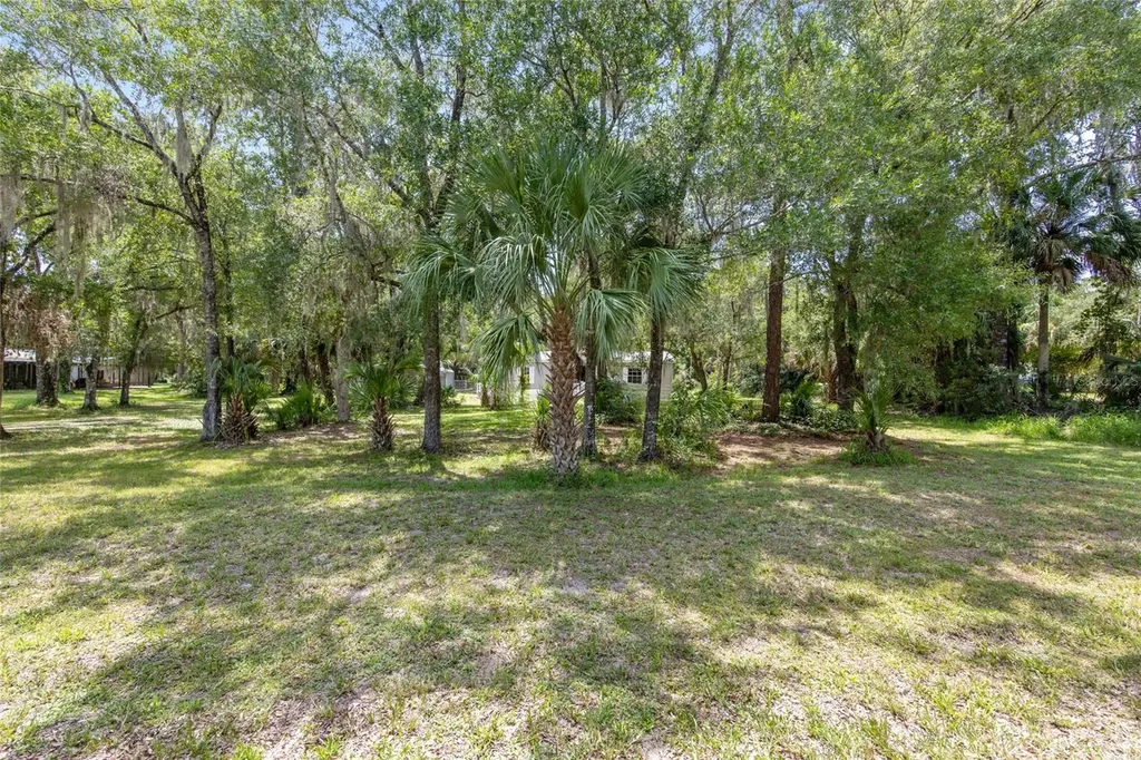 10220 W Pamondeho Circle Crystal River FL 34428