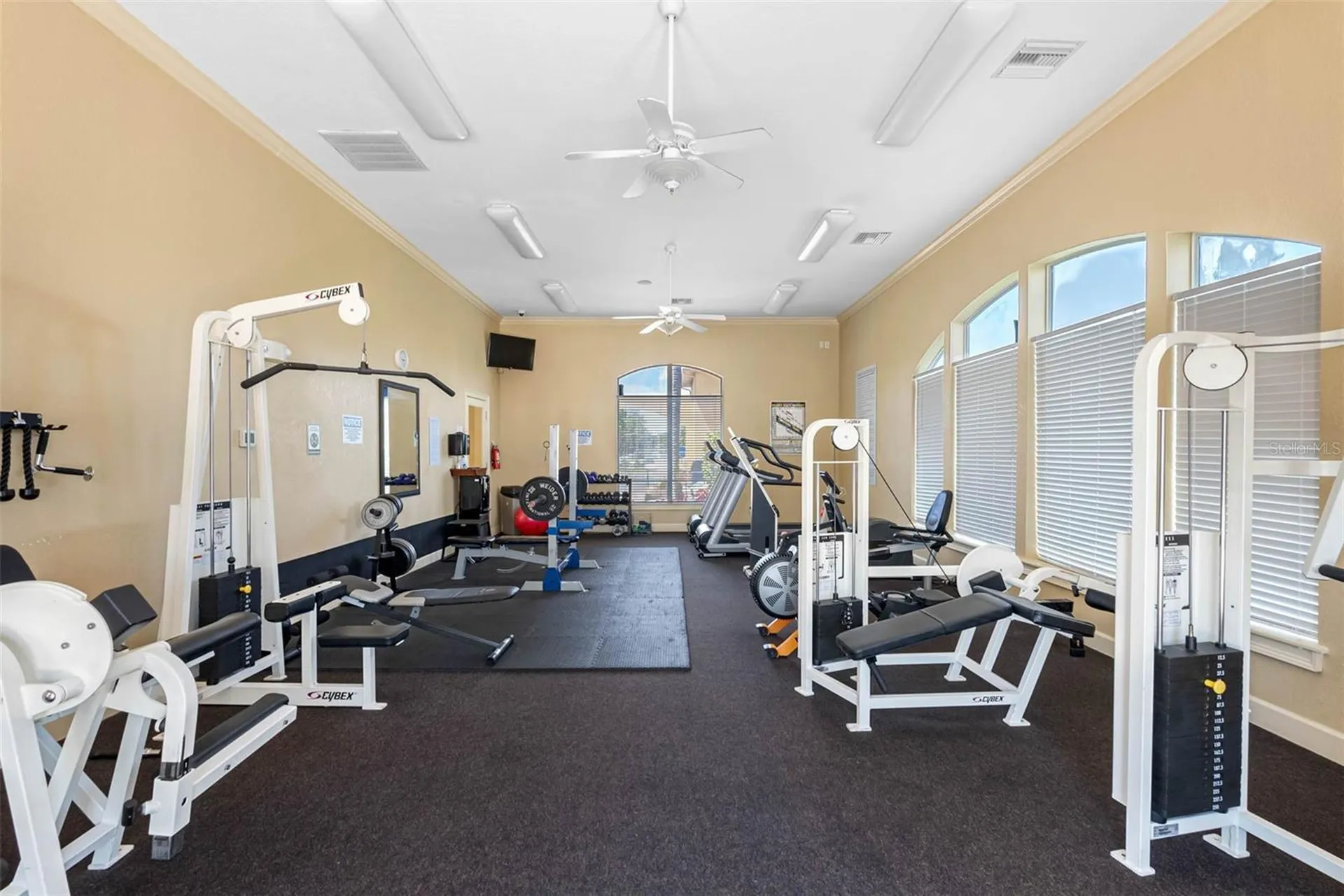 4345 Bayside Village Drive Tampa FL 33615