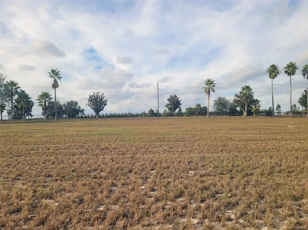 7425 Jasmine Street Groveland FL 34736
