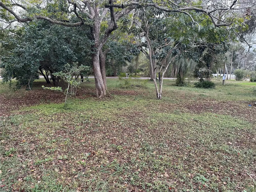 17479 Tavern Road Brooksville FL 34604