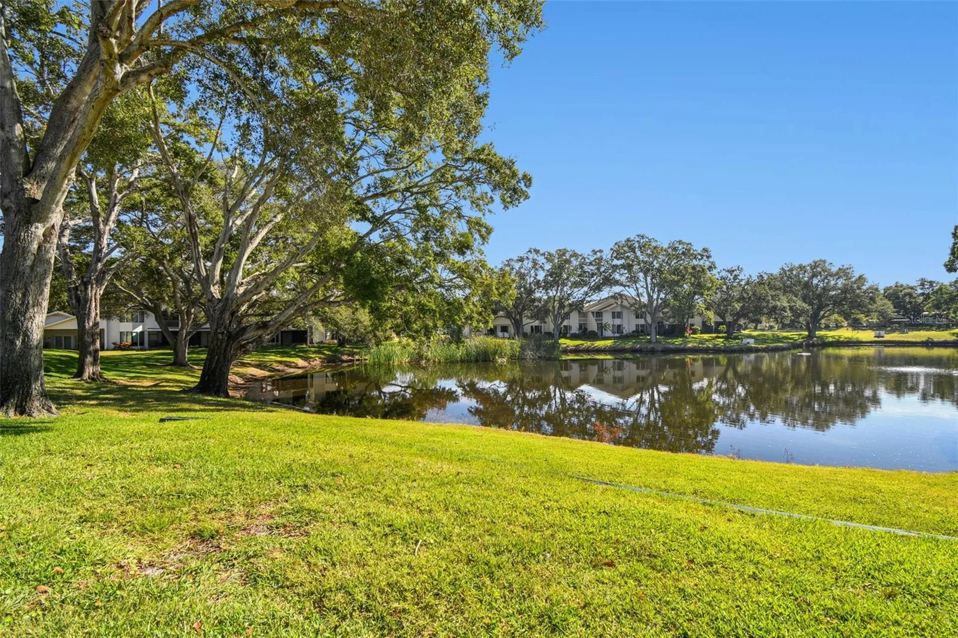 474 Lakeview Drive Palm Harbor FL 34683