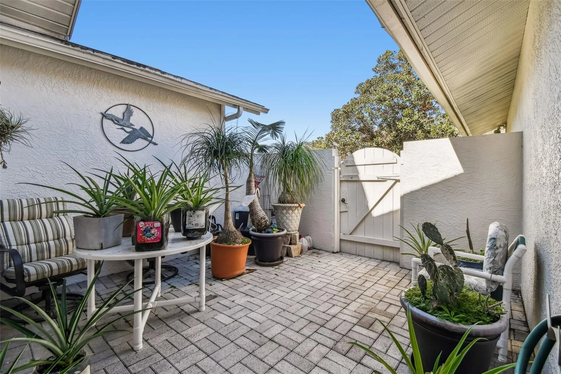 474 Lakeview Drive Palm Harbor FL 34683