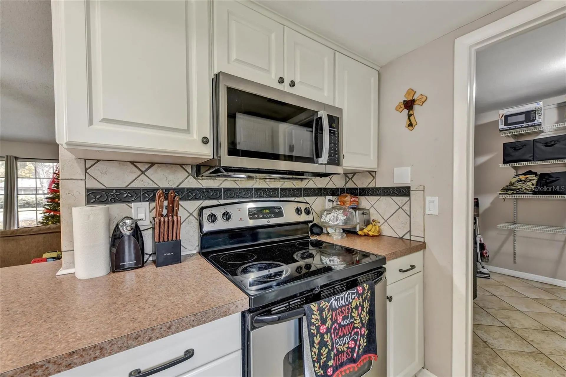 11616 Lewis Avenue Thonotosassa FL 33592