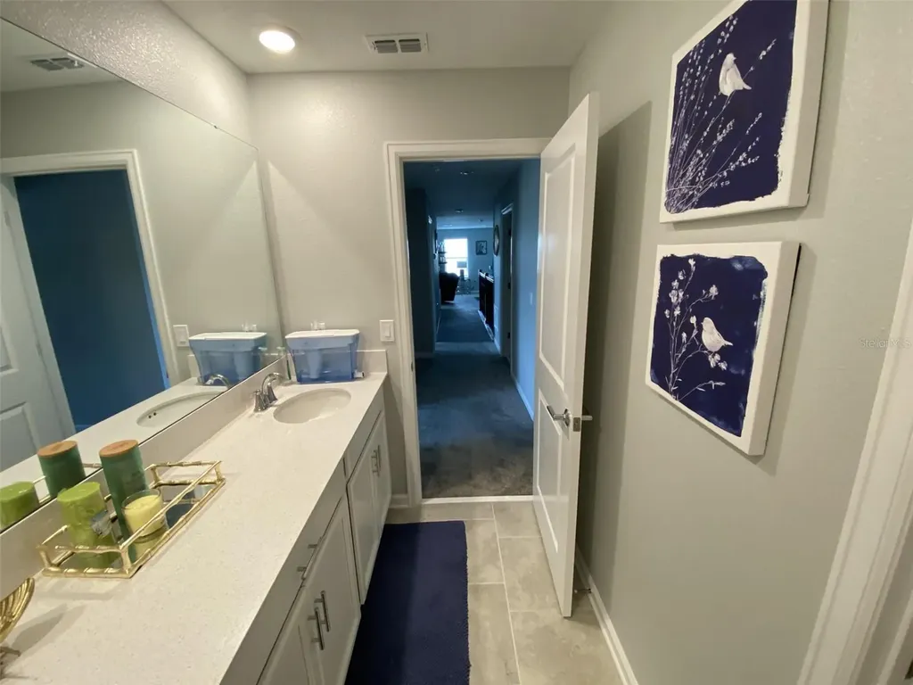 5686 Alenlon Way Mount Dora FL 32757
