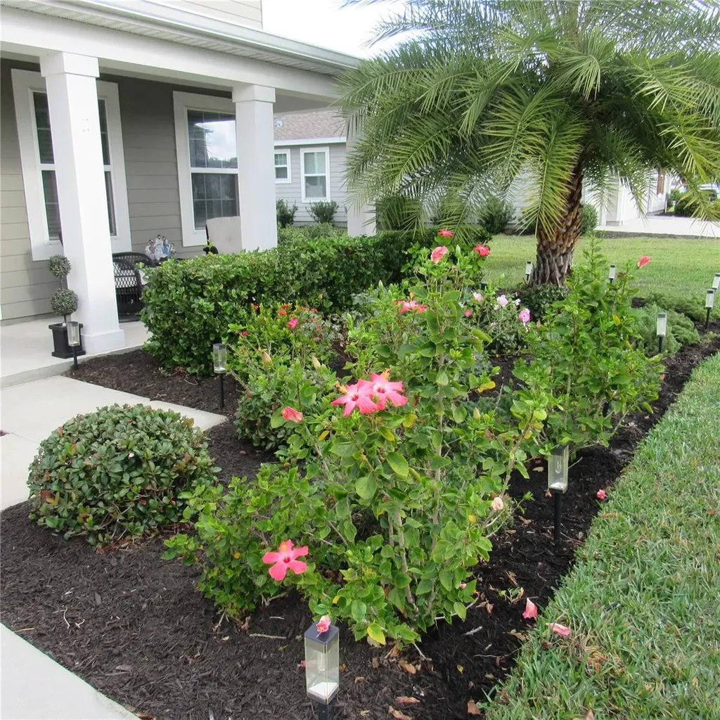 5686 Alenlon Way Mount Dora FL 32757