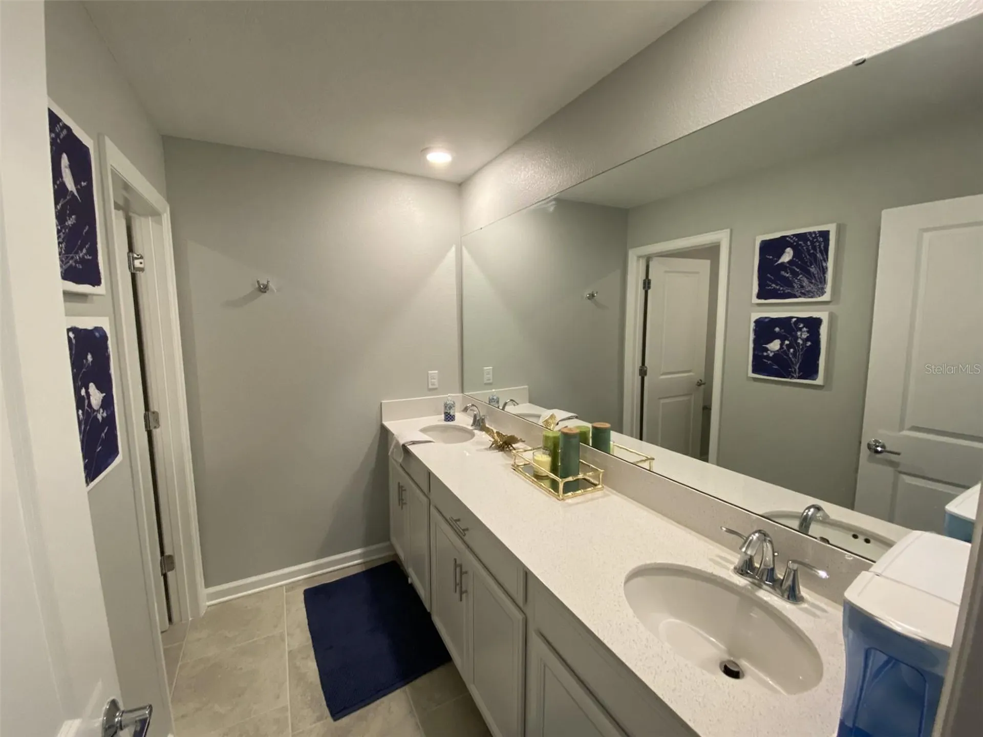 5686 Alenlon Way Mount Dora FL 32757