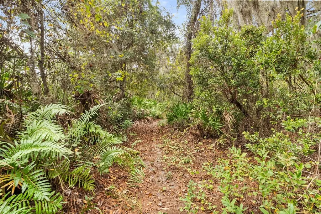 4512 Bridgewater Drive Orlando FL 32817
