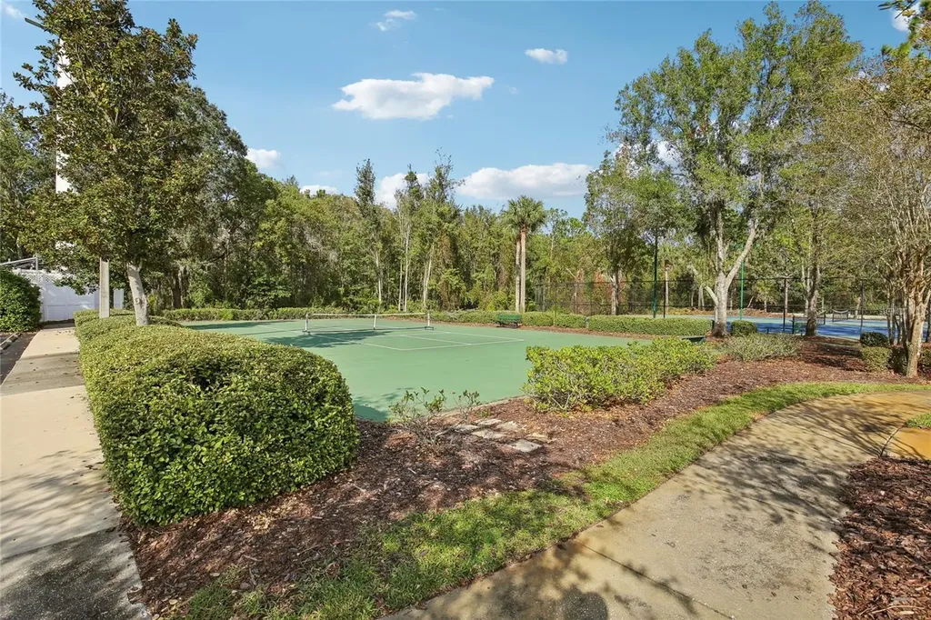 30352 Elderwood Drive Wesley Chapel FL 33543