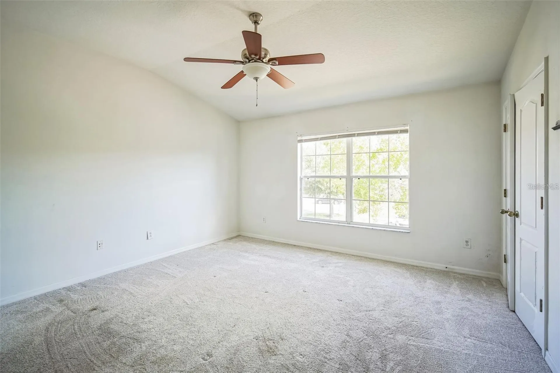 30352 Elderwood Drive Wesley Chapel FL 33543