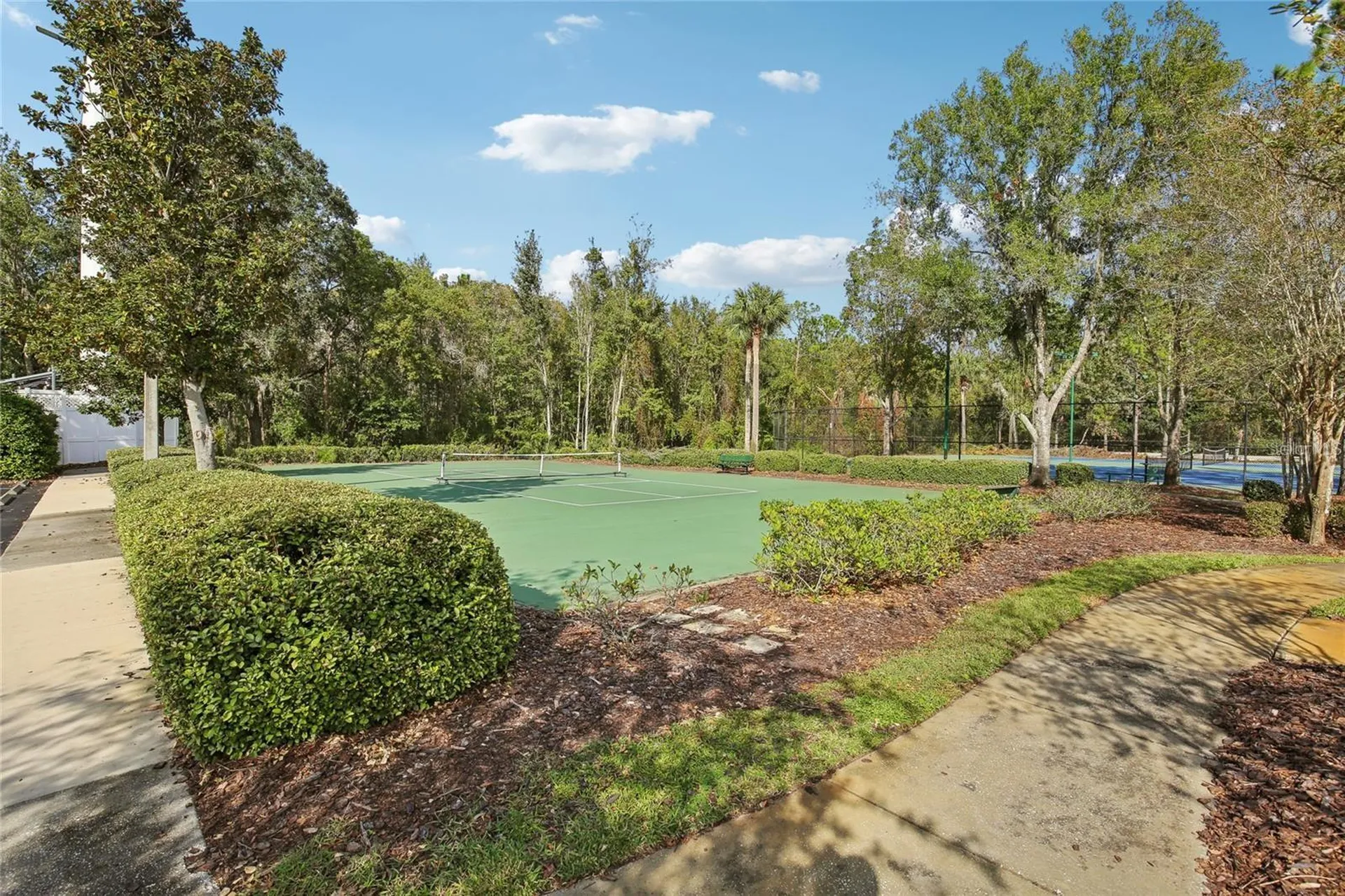 30352 Elderwood Drive Wesley Chapel FL 33543