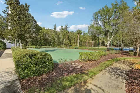 30352 Elderwood Drive Wesley Chapel FL 33543