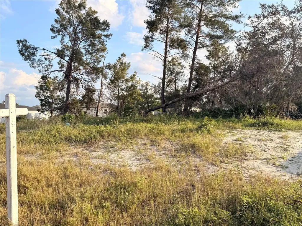143 Zinnia Lane W Kissimmee FL 34759