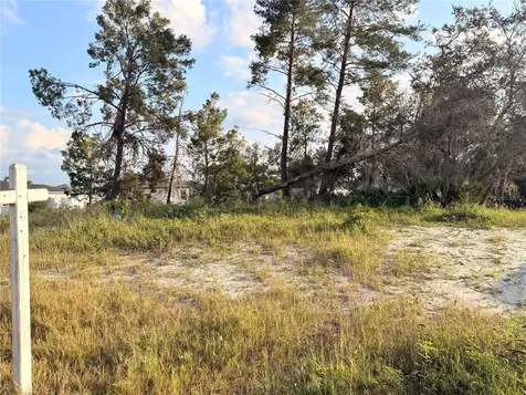 143 Zinnia Lane W Kissimmee FL 34759