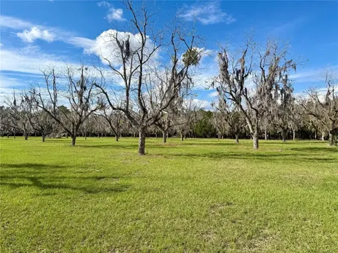 23915 NE State Road 26 Melrose FL 32666