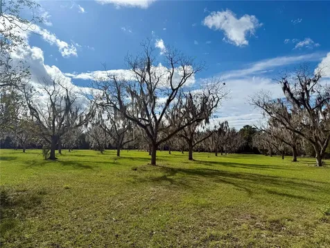 23915 NE State Road 26 Melrose FL 32666