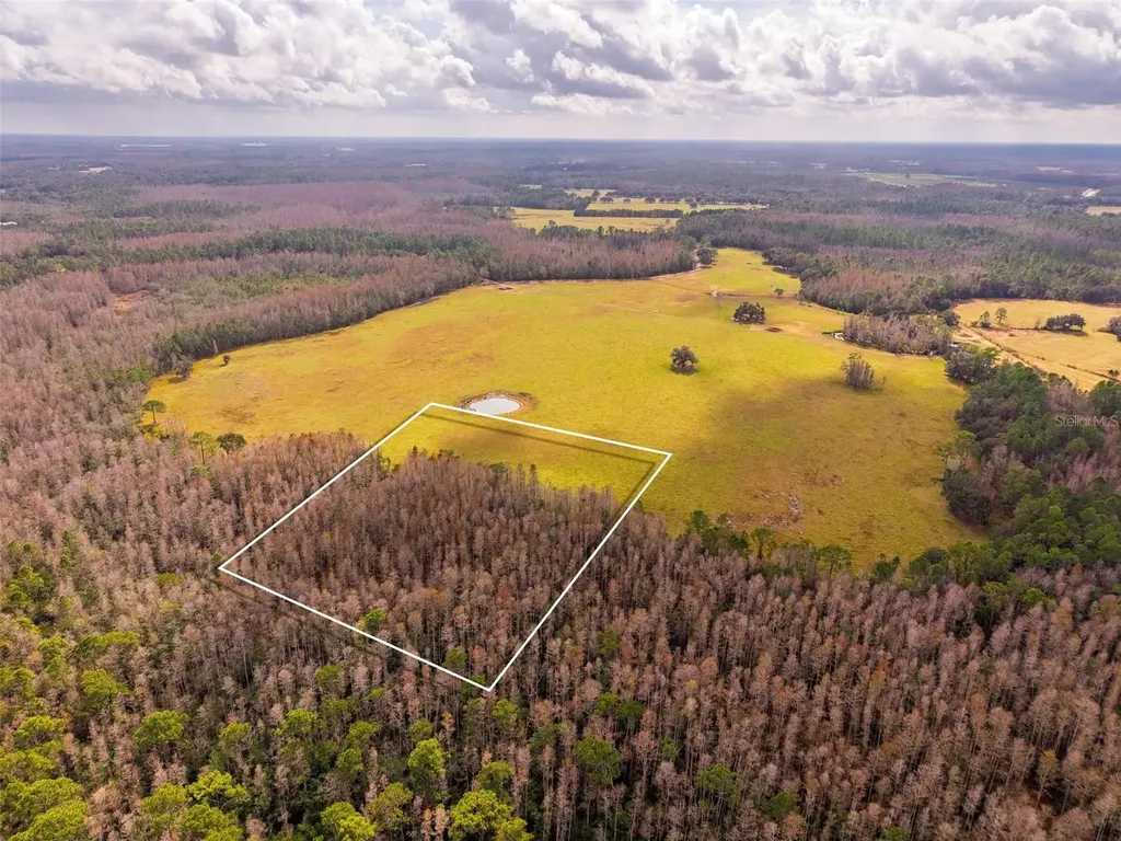 Line Block Road Clermont FL 34714