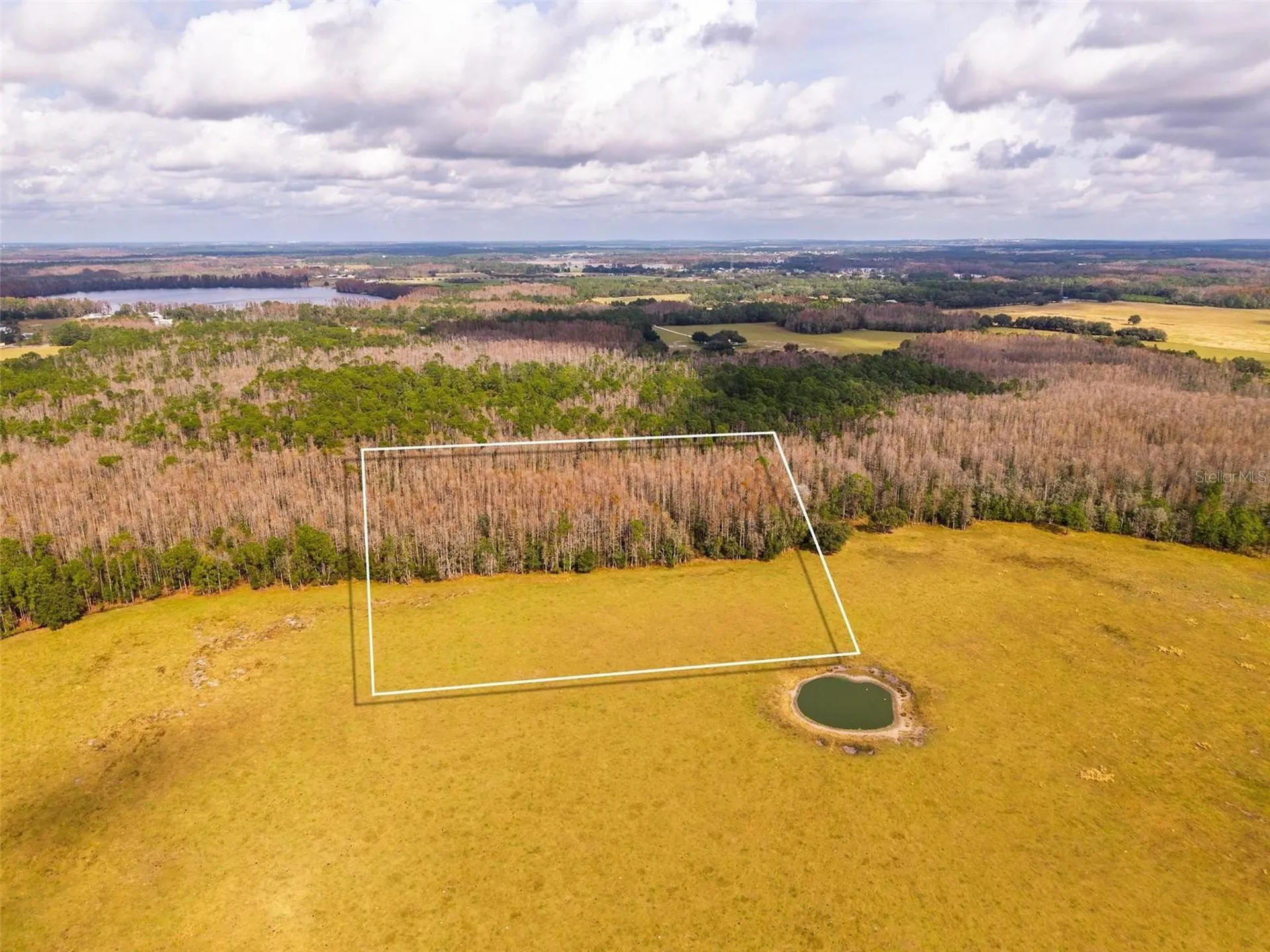 Line Block Road Clermont FL 34714