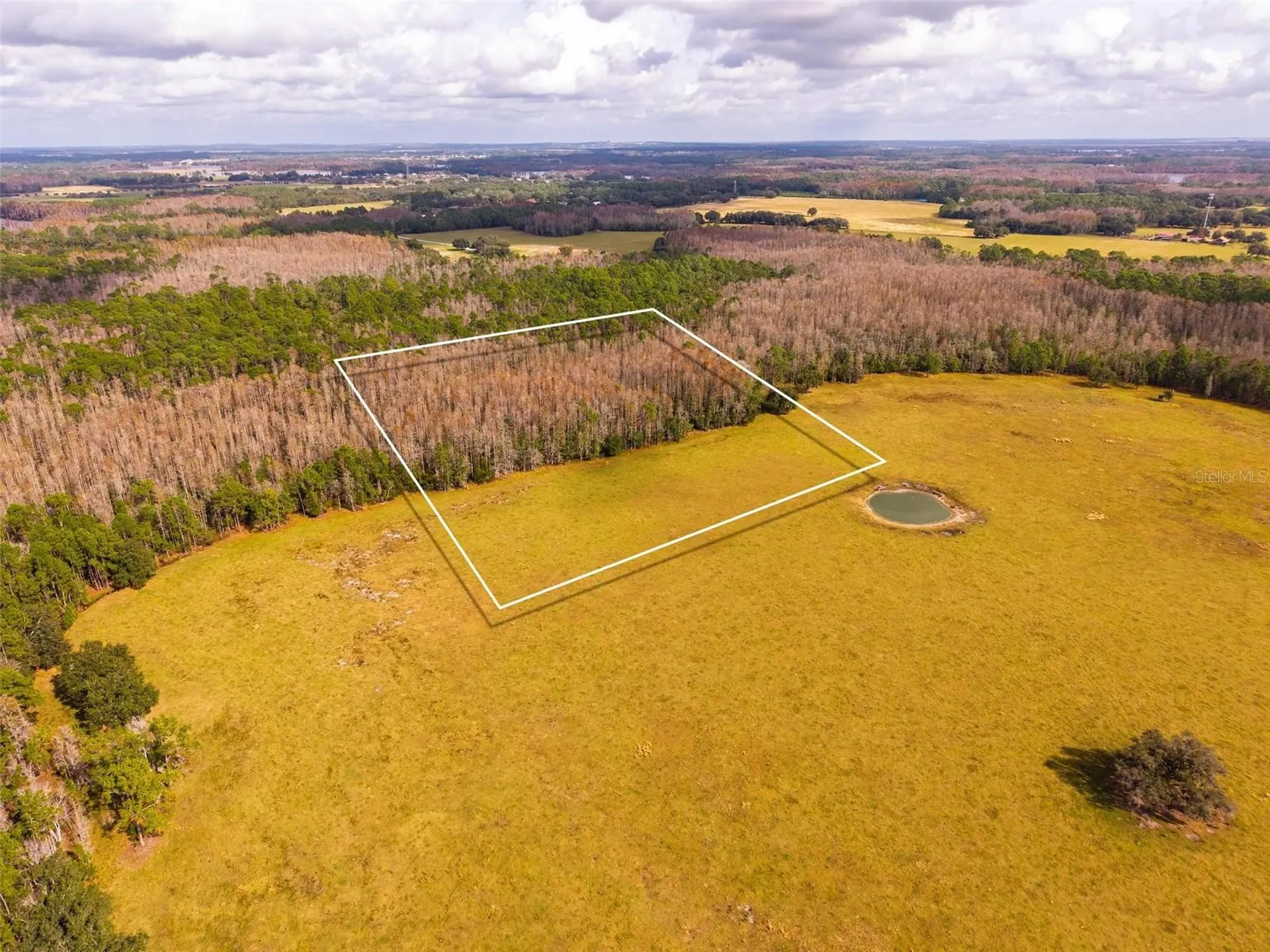 Line Block Road Clermont FL 34714