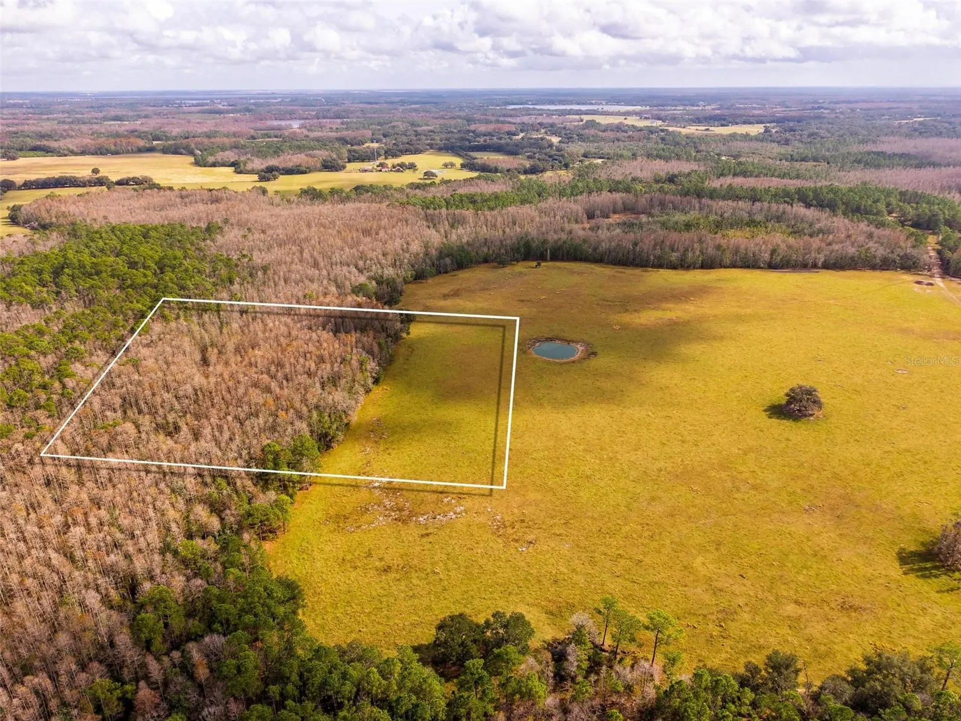 Line Block Road Clermont FL 34714