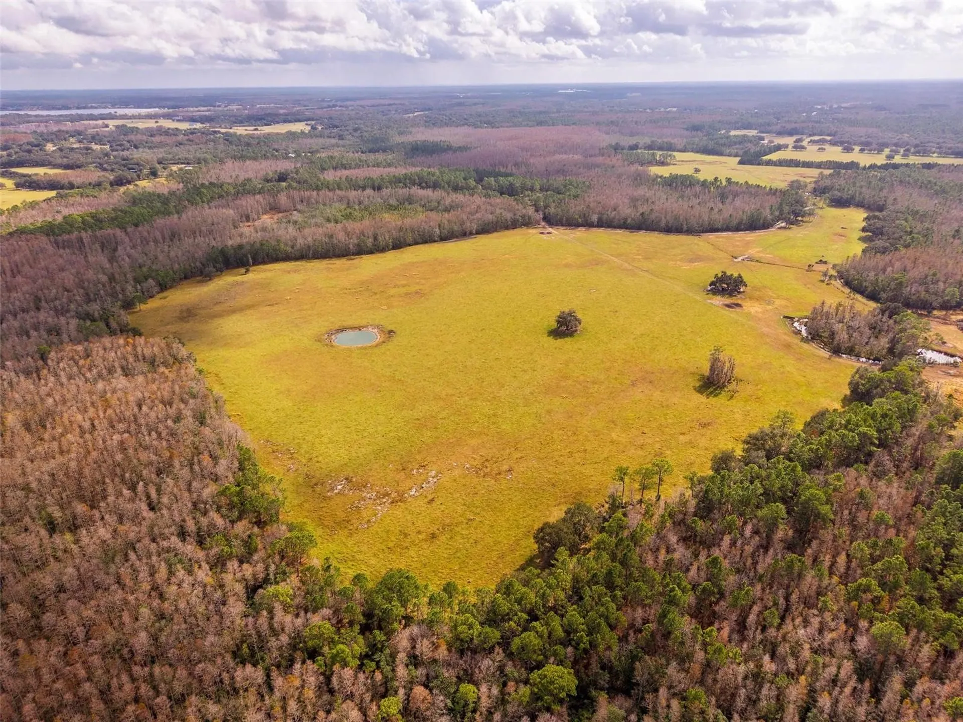 Line Block Road Clermont FL 34714