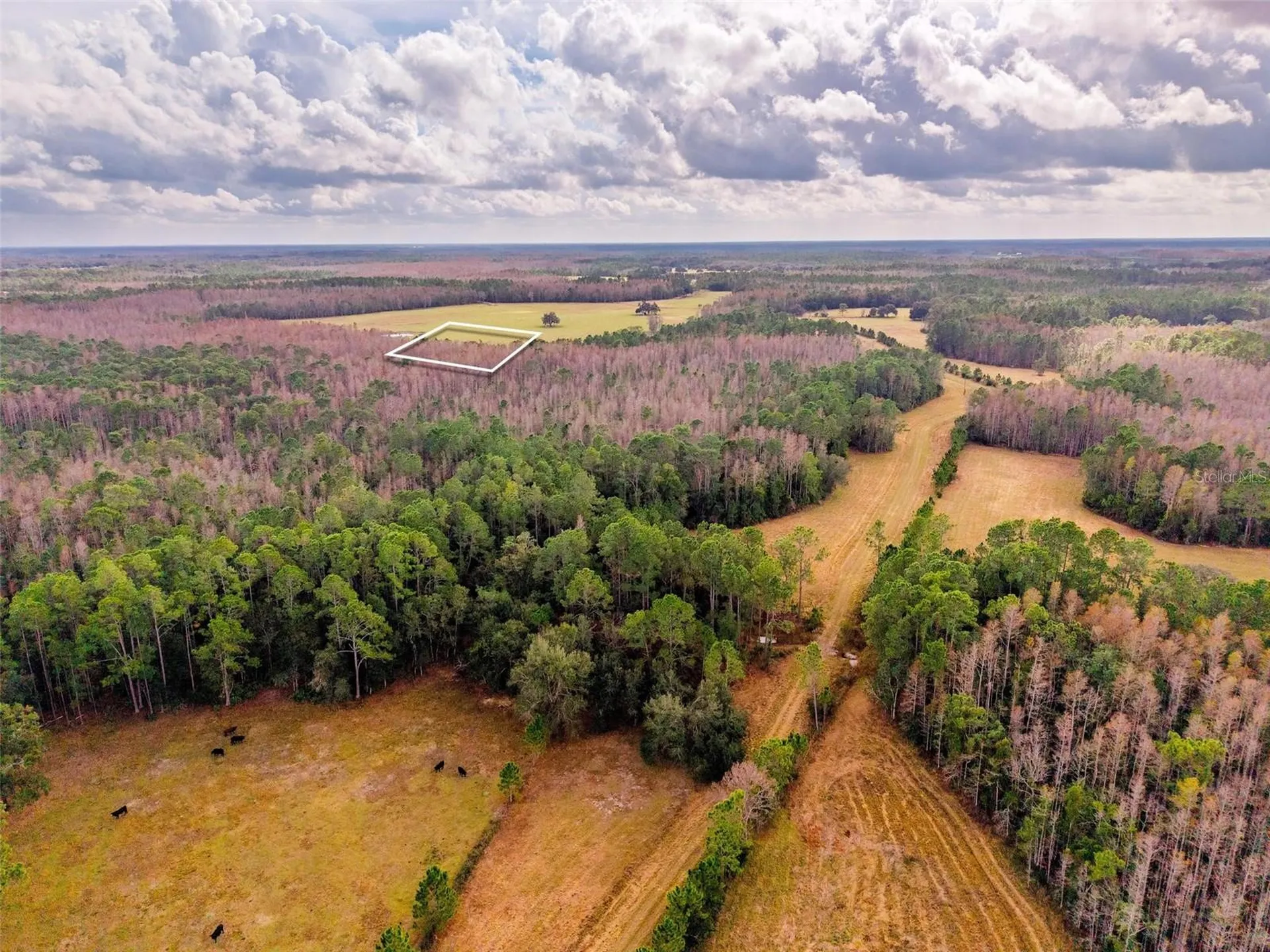 Line Block Road Clermont FL 34714