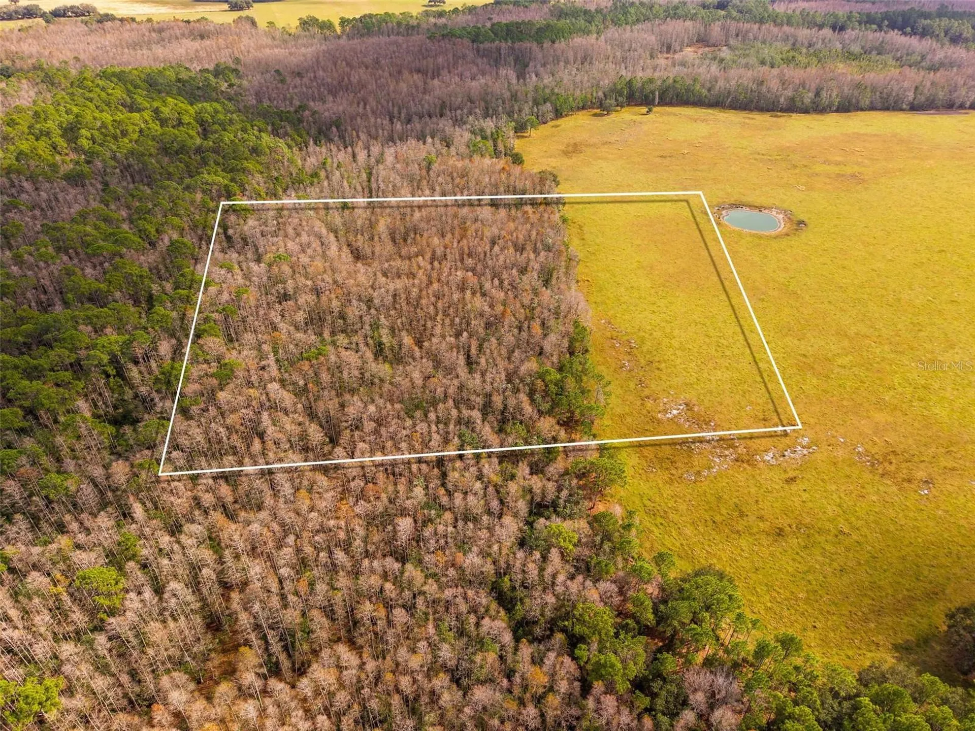 Line Block Road Clermont FL 34714