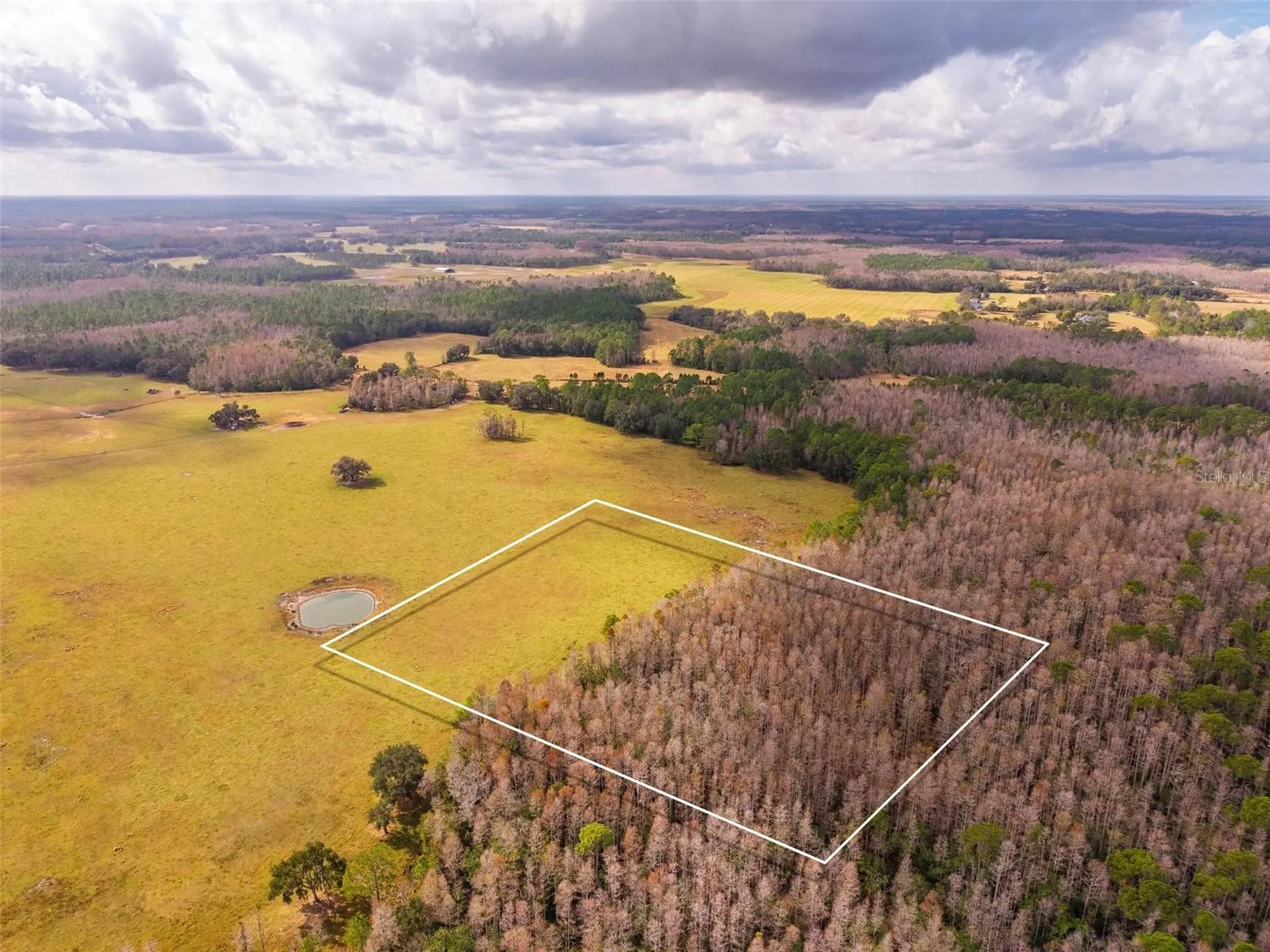 Line Block Road Clermont FL 34714