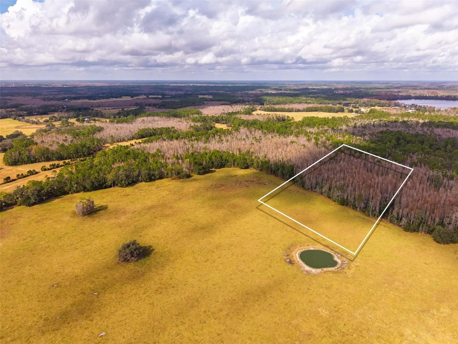 Line Block Road Clermont FL 34714