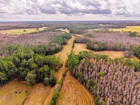 Line Block Road Clermont FL 34714