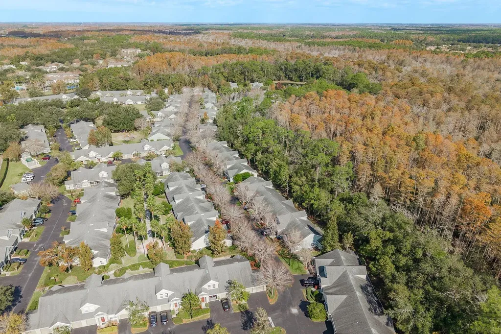 3521 Kings Road Palm Harbor FL 34685