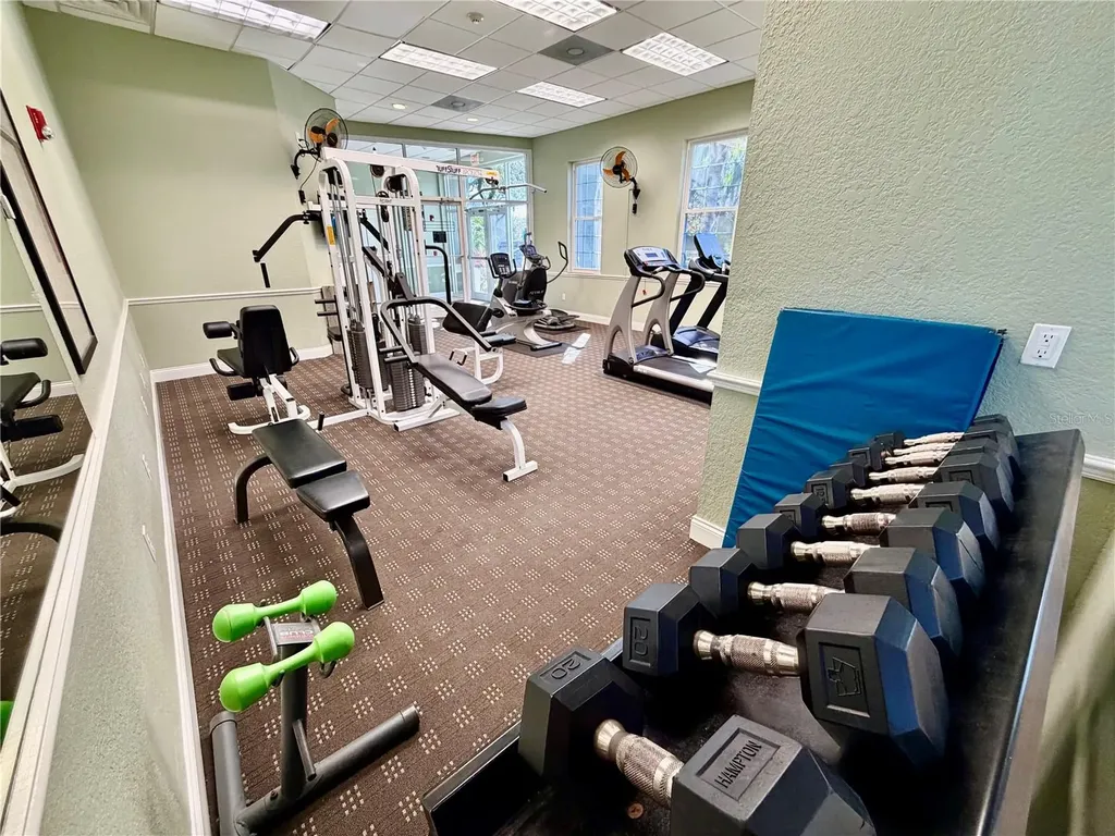 3521 Kings Road Palm Harbor FL 34685