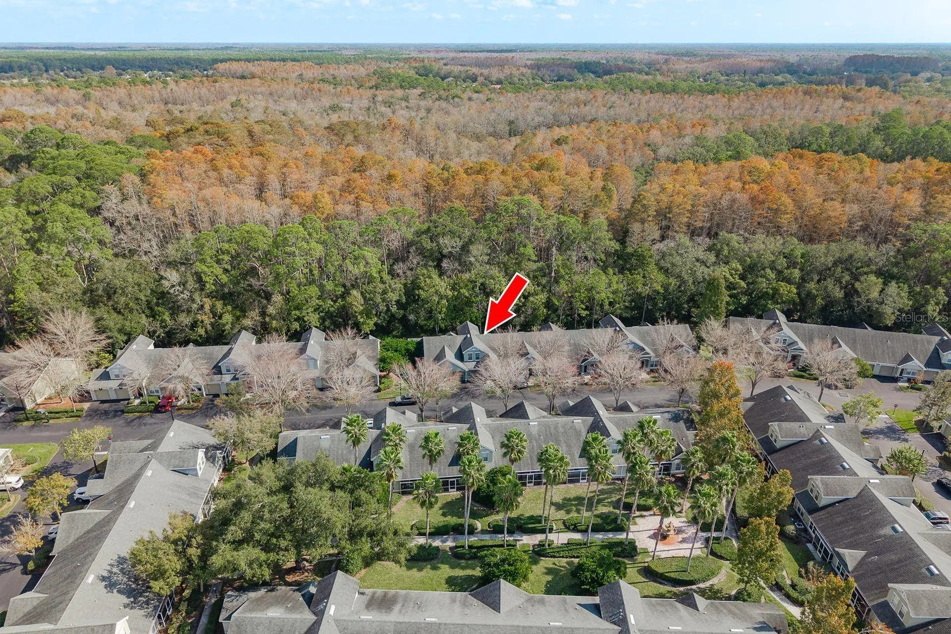 3521 Kings Road Palm Harbor FL 34685