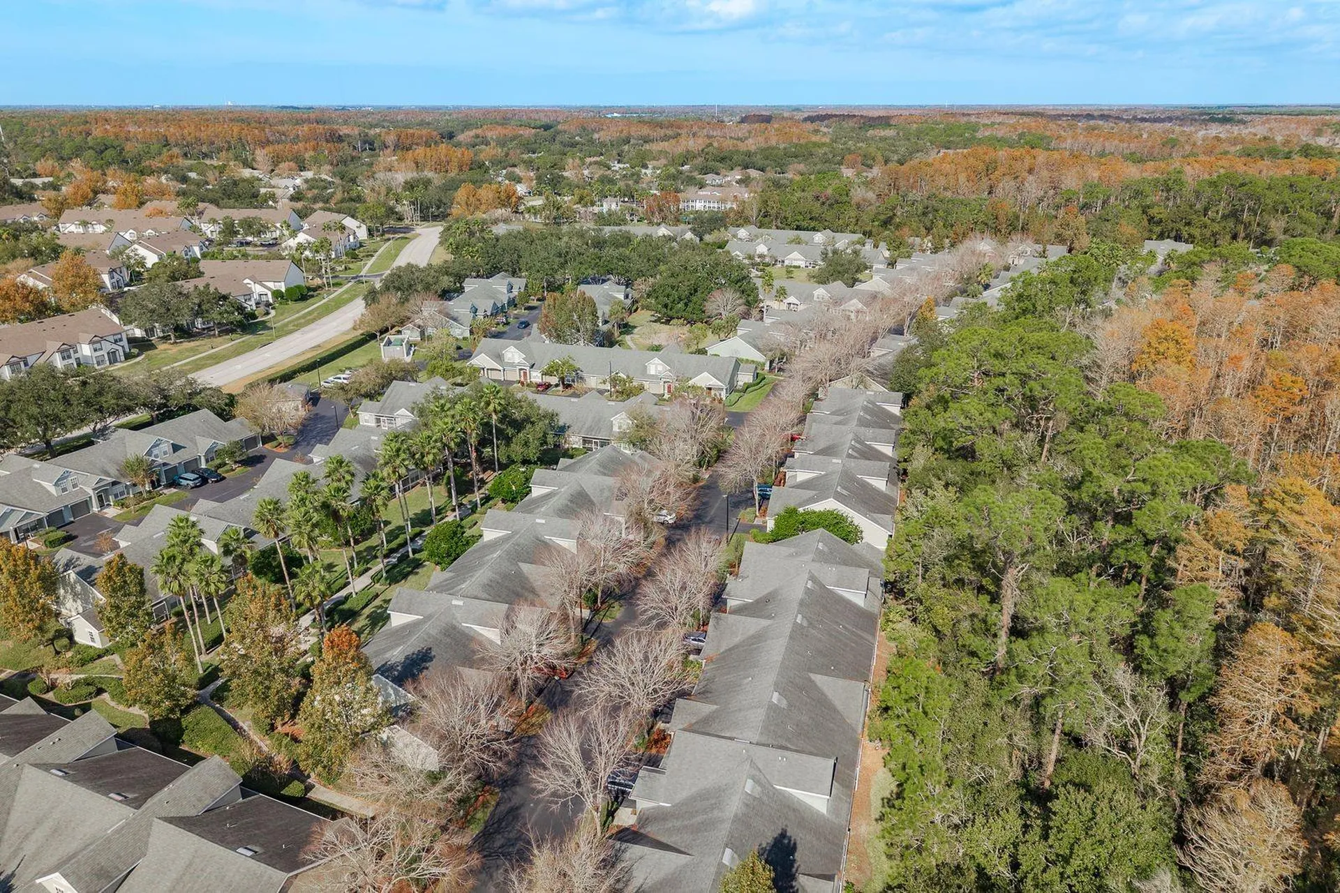 3521 Kings Road Palm Harbor FL 34685