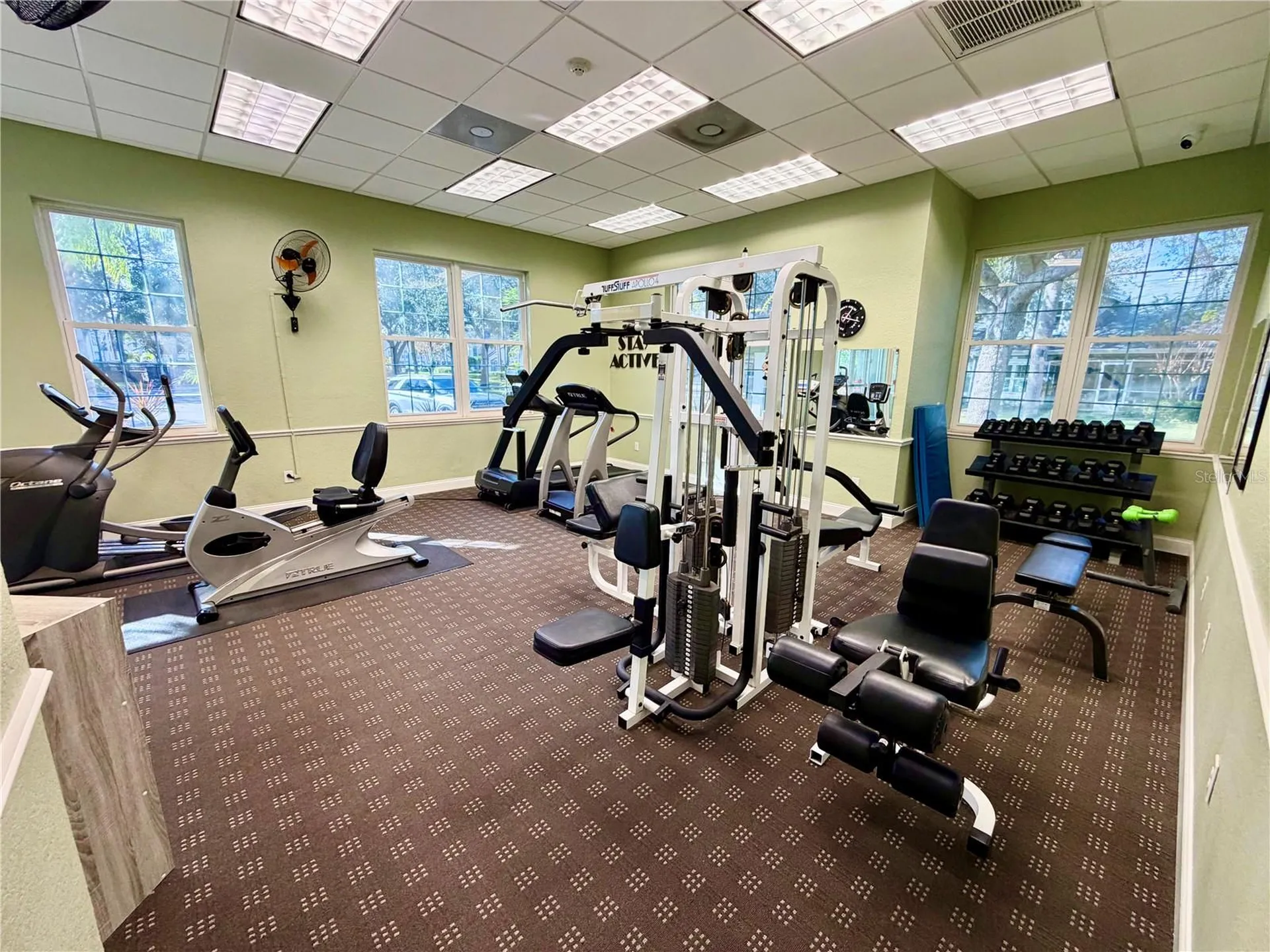 3521 Kings Road Palm Harbor FL 34685